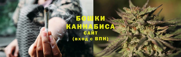 ГАЛЛЮЦИНОГЕННЫЕ ГРИБЫ Балахна