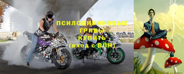 МДПВ Снежинск