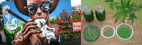 ГАЛЛЮЦИНОГЕННЫЕ ГРИБЫ Балахна